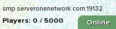 ServerOne Network