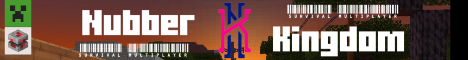 Nubber Kingdom SMP