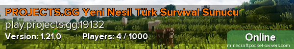 PROJECTS.GG Yeni Nesil Türk Survival Sunucu