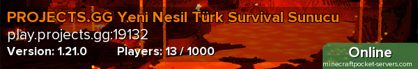 PROJECTS.GG Yeni Nesil Türk Survival Sunucu