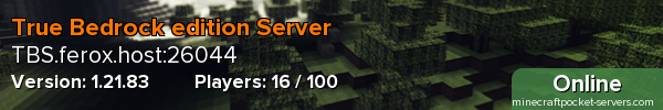 True Bedrock edition Server
