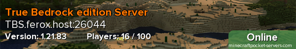 True Bedrock edition Server