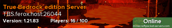 True Bedrock edition Server