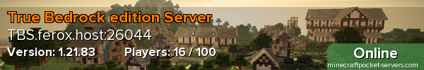 True Bedrock edition Server