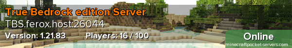 True Bedrock edition Server