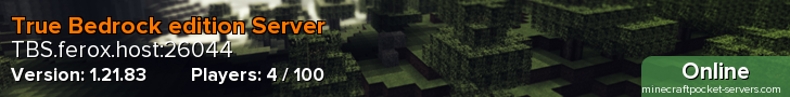 True Bedrock edition Server