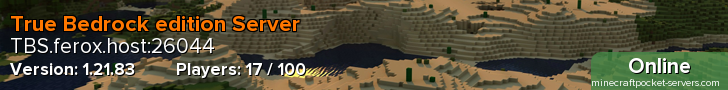 True Bedrock edition Server