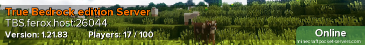 True Bedrock edition Server