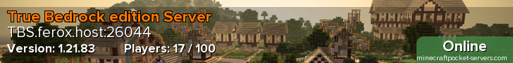 True Bedrock edition Server