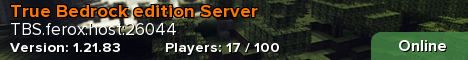 True Bedrock edition Server