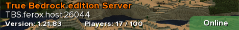 True Bedrock edition Server