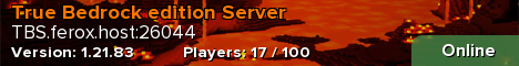 True Bedrock edition Server