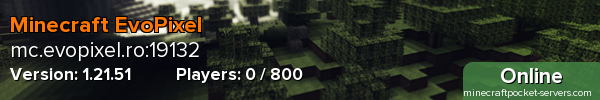 Minecraft EvoPixel