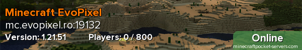Minecraft EvoPixel