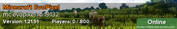 Minecraft EvoPixel