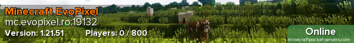 Minecraft EvoPixel