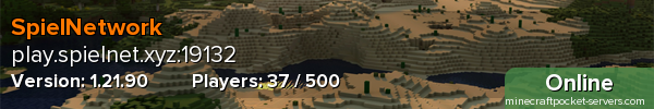 SpielNetwork