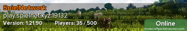 SpielNetwork