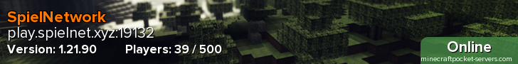 SpielNetwork