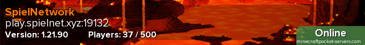 SpielNetwork
