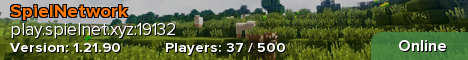 SpielNetwork