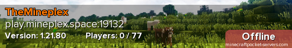 TheMineplex