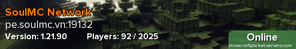 SoulMC Network