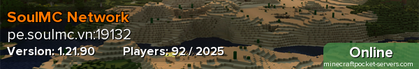 SoulMC Network
