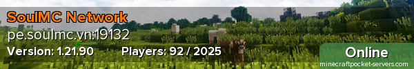 SoulMC Network