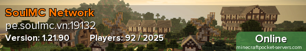 SoulMC Network