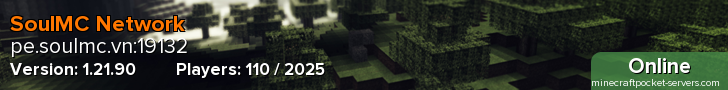 SoulMC Network