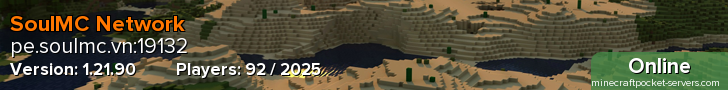 SoulMC Network