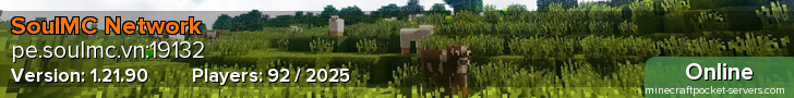 SoulMC Network