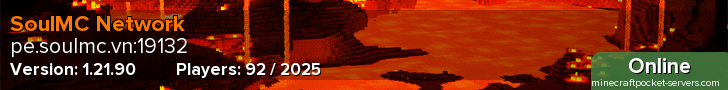 SoulMC Network
