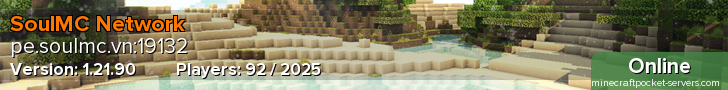 SoulMC Network