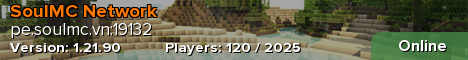SoulMC Network