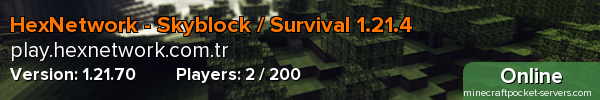 HexNetwork - Skyblock / Survival 1.21.4
