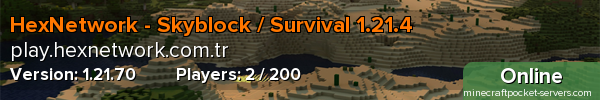 HexNetwork - Skyblock / Survival 1.21.4