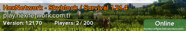 HexNetwork - Skyblock / Survival 1.21.4