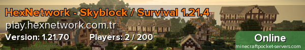 HexNetwork - Skyblock / Survival 1.21.4