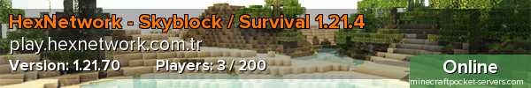 HexNetwork - Skyblock / Survival 1.21.4