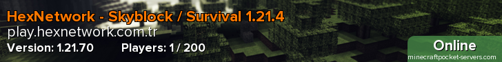 HexNetwork - Skyblock / Survival 1.21.4
