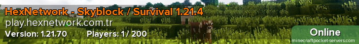 HexNetwork - Skyblock / Survival 1.21.4