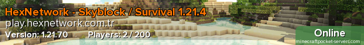 HexNetwork - Skyblock / Survival 1.21.4