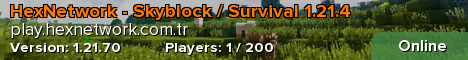 HexNetwork - Skyblock / Survival 1.21.4