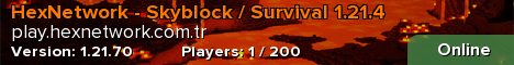 HexNetwork - Skyblock / Survival 1.21.4
