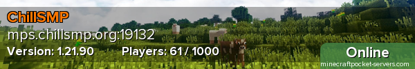 ChillSMP