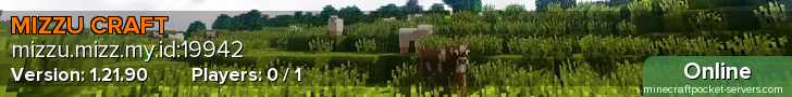 MIZZU CRAFT