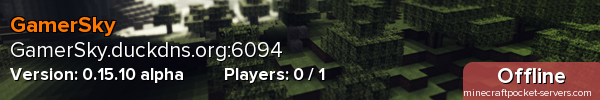 GamerSky