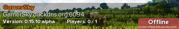 GamerSky